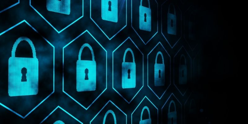 A well-structured privacy policy describes exactly how collected information